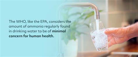 why are ammonia levels important for water quality